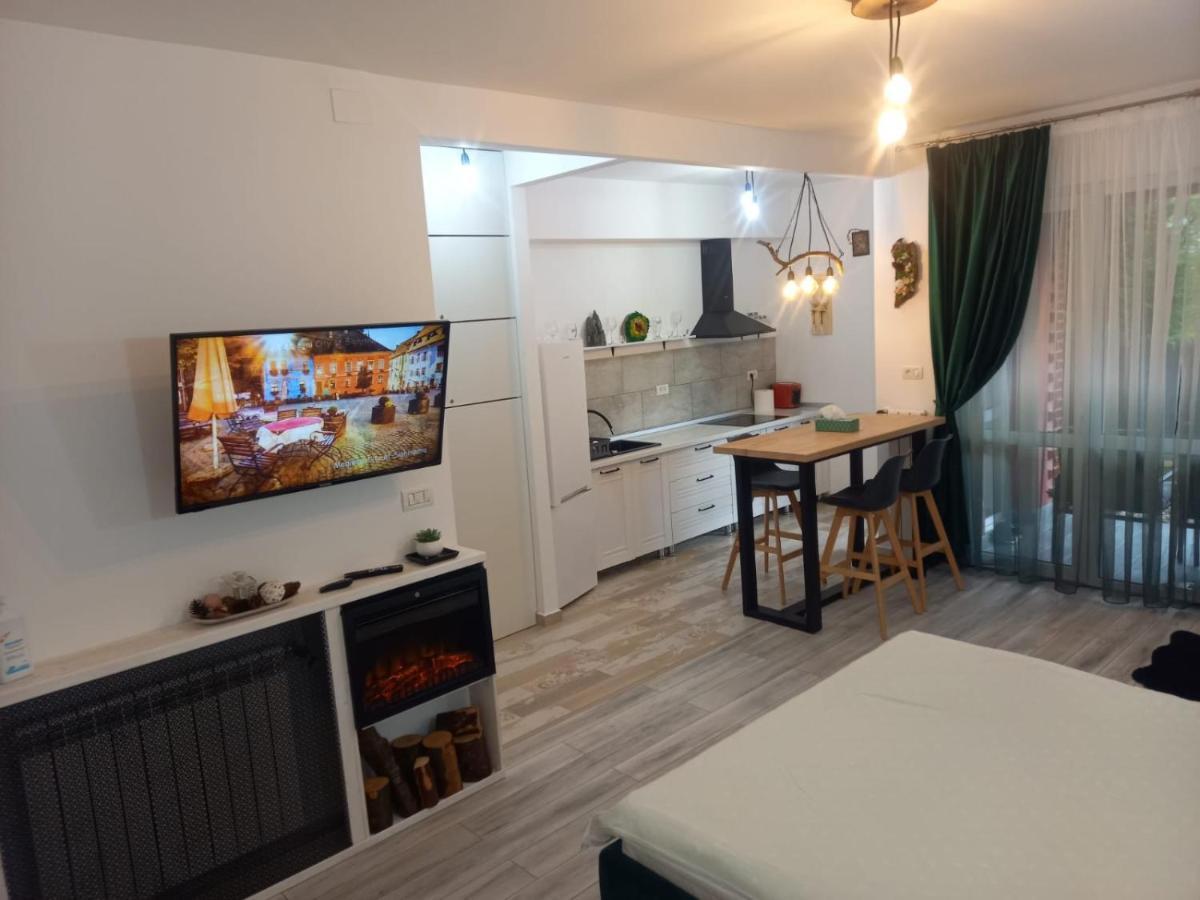 Belleview Garden Studio Apartment ซินายา ภายนอก รูปภาพ